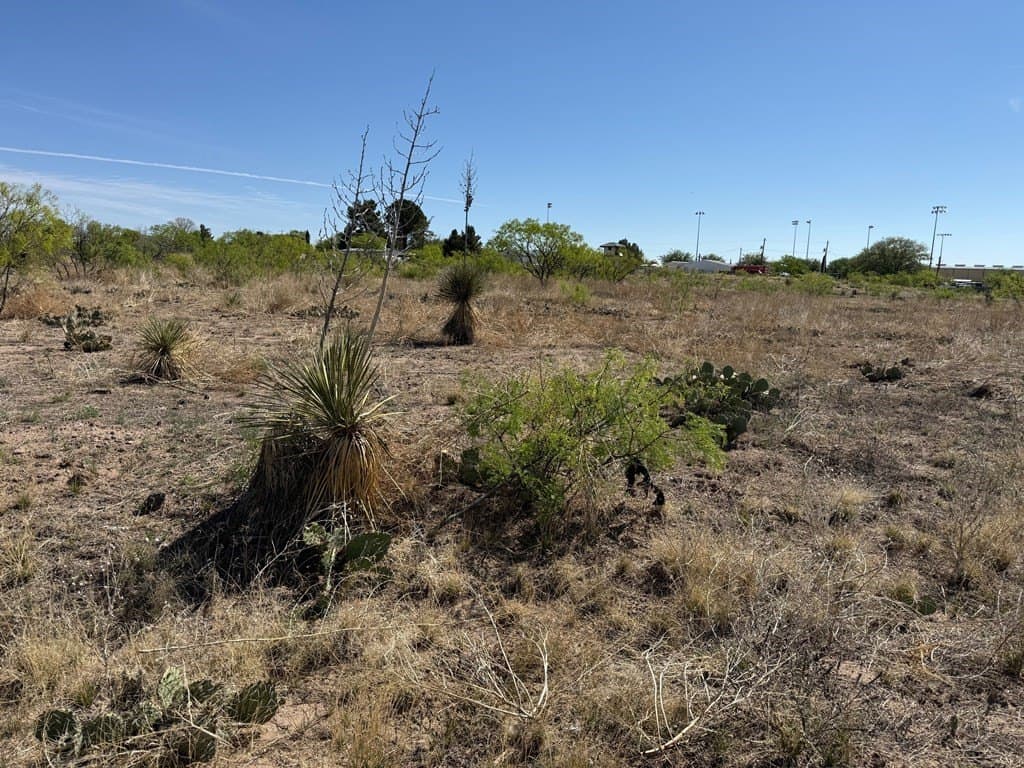 0.19 acres in Presidio County gallery image 3