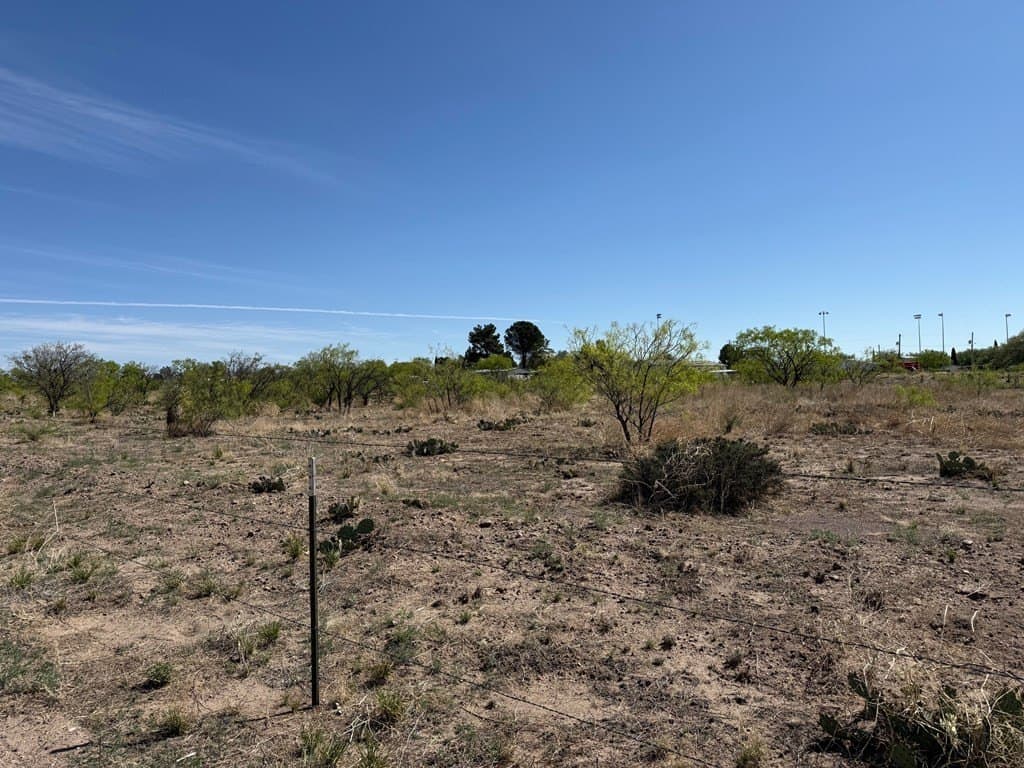 0.19 acres in Presidio County featured view