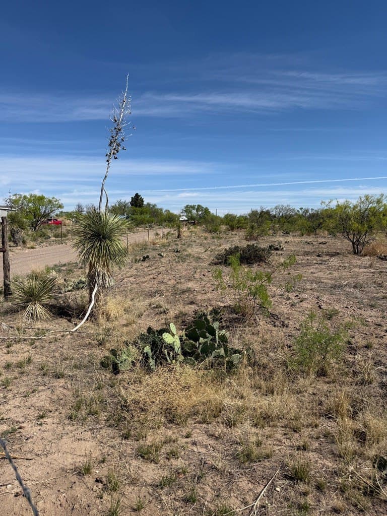 0.19 acres in Presidio County gallery image 4