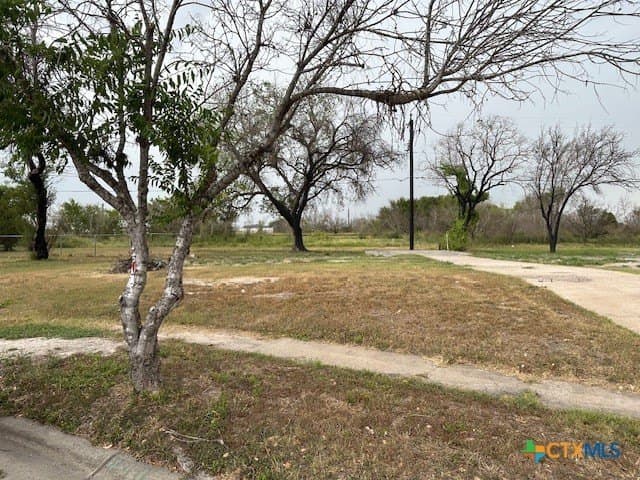 0.24 acres in San Patricio County gallery image 4