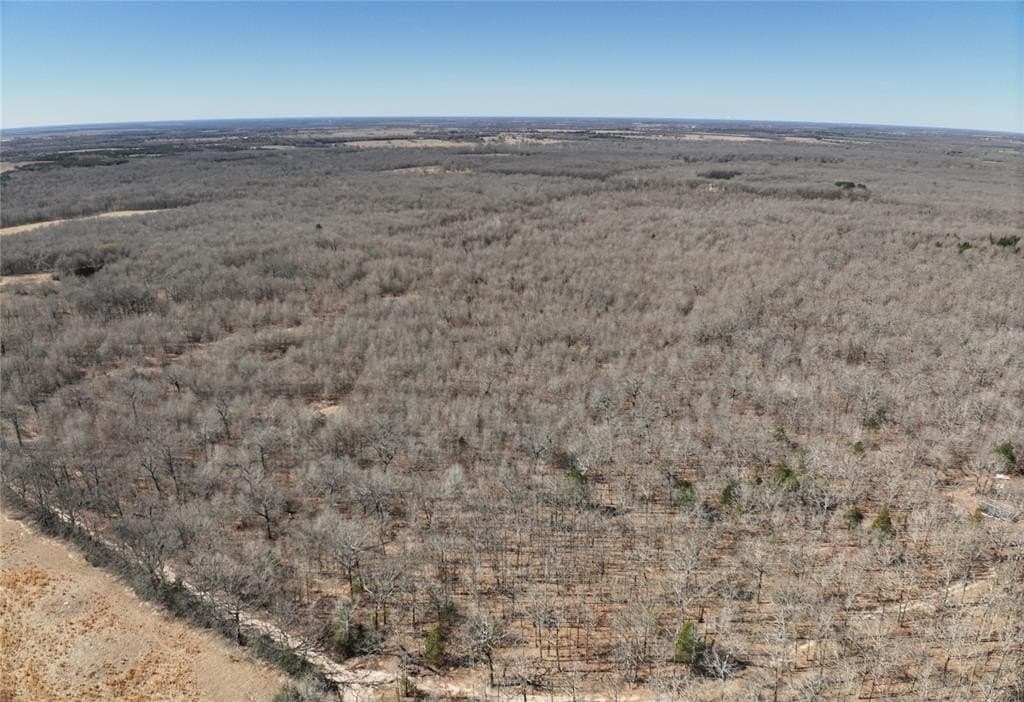152 acres in Red River (TX) County gallery image 4