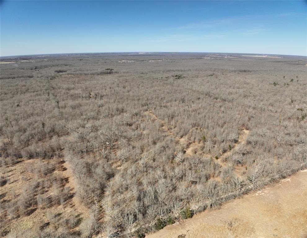 152 acres in Red River (TX) County gallery image 2