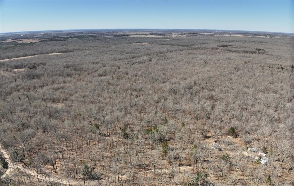 152 acres in Red River (TX) County gallery image 3