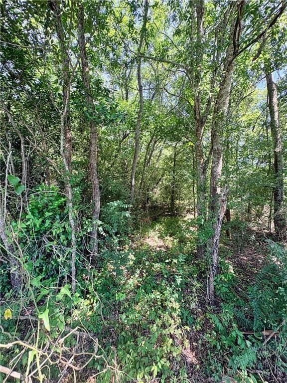 1.5 acres in Robertson County - photo 6
