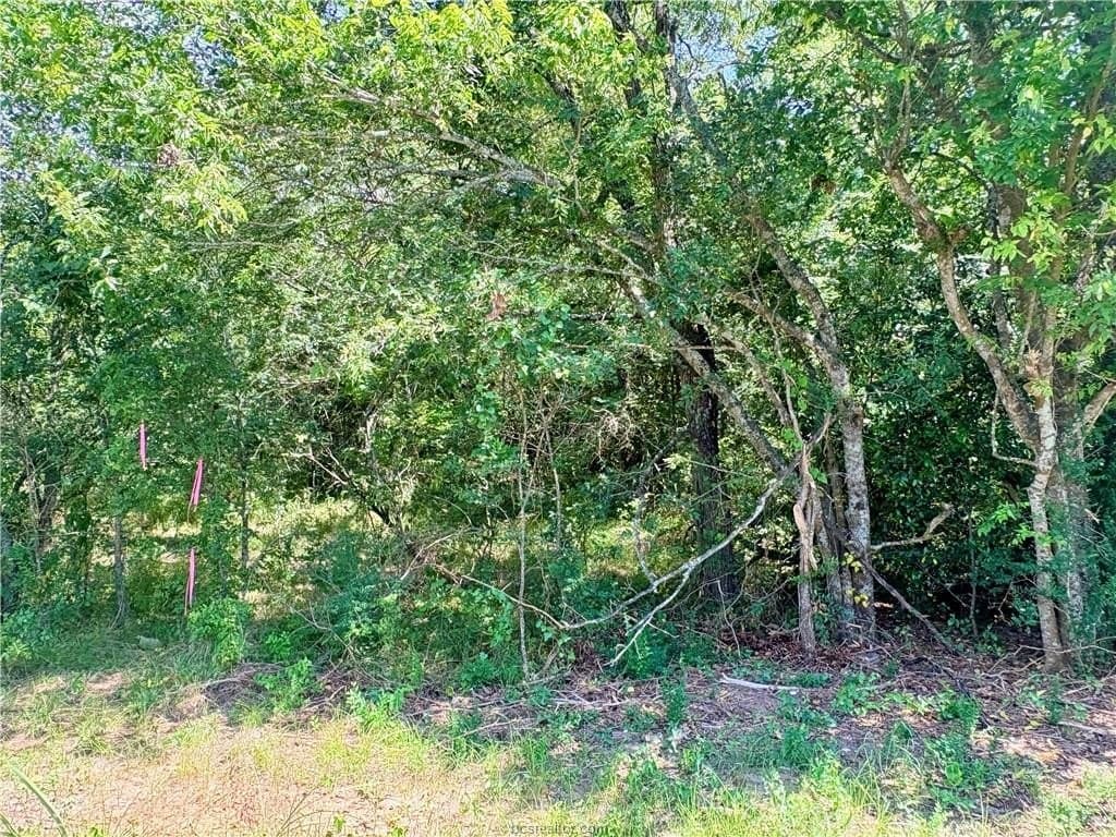 1.5 acres in Robertson County gallery image 2