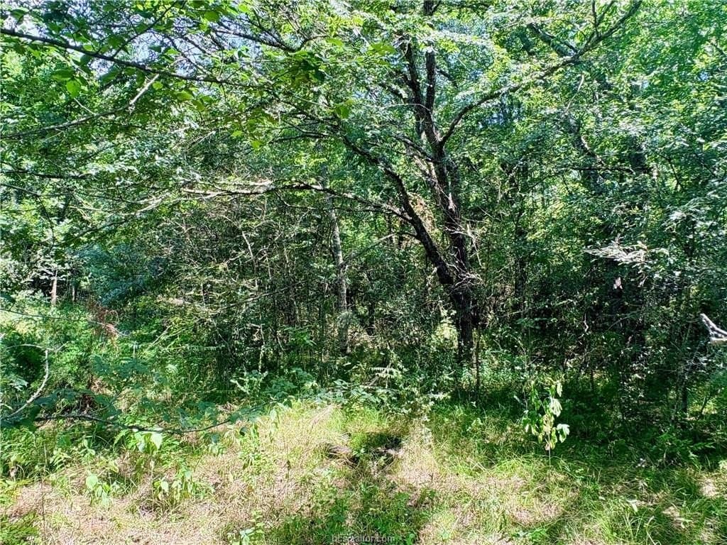 1.5 acres in Robertson County gallery image 3