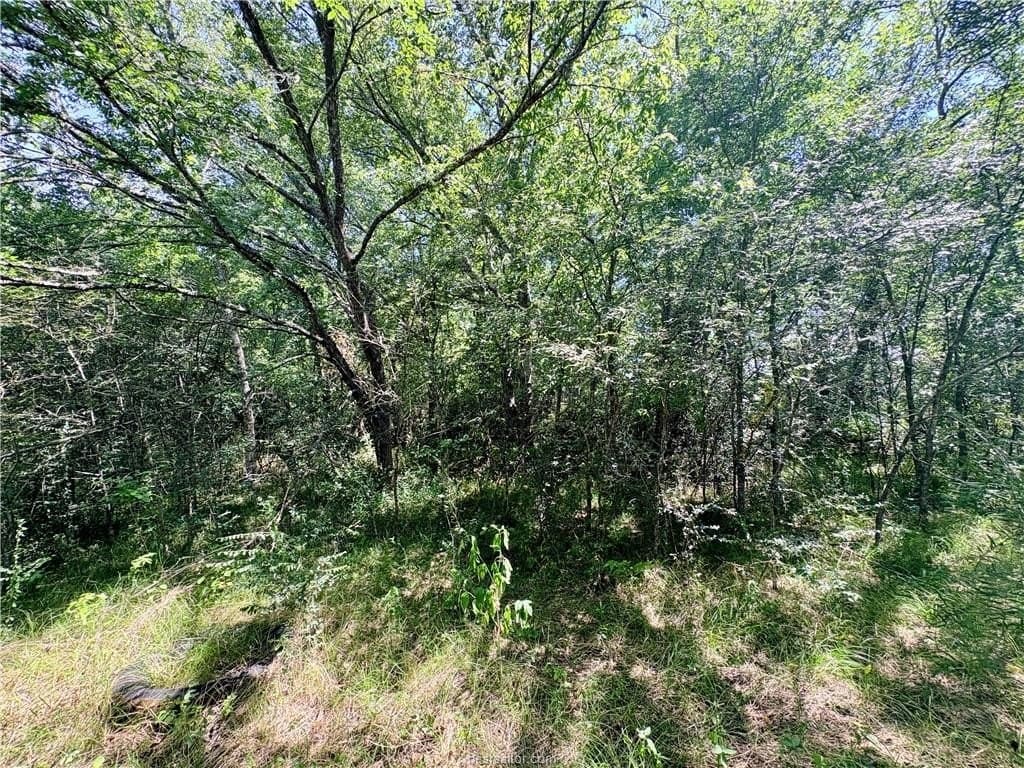 1.5 acres in Robertson County featured view