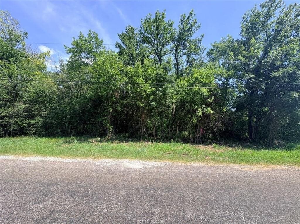 1.5 acres in Robertson County - photo 8