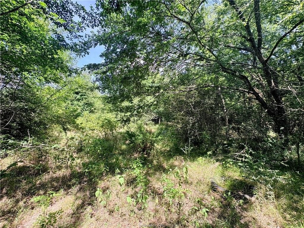 1.5 acres in Robertson County gallery image 4