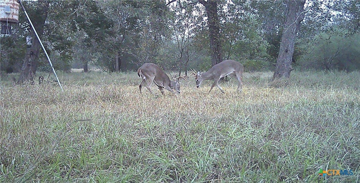 80.32 acres in Jackson County - photo 42
