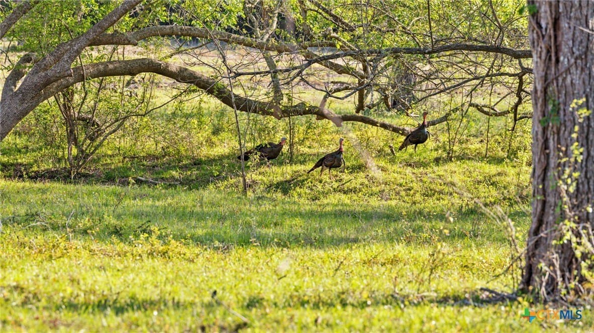 80.32 acres in Jackson County - photo 23