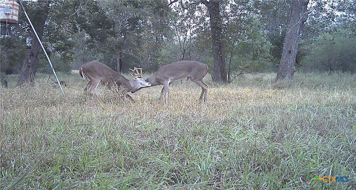 80.32 acres in Jackson County - photo 41