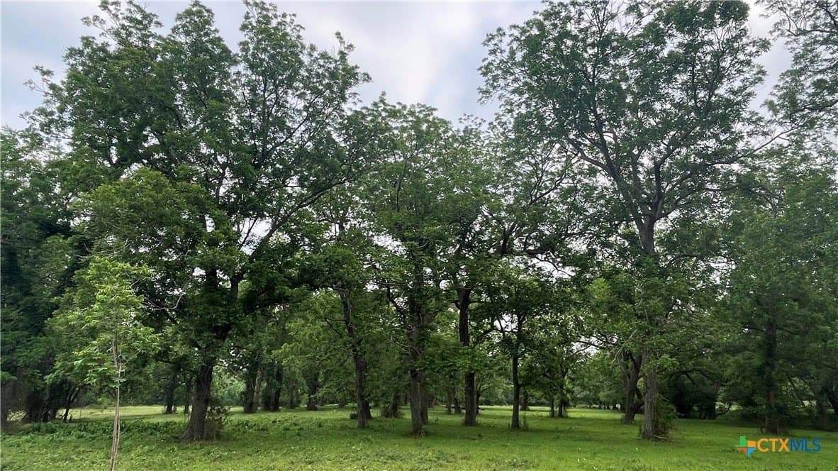 80.32 acres in Jackson County - photo 24