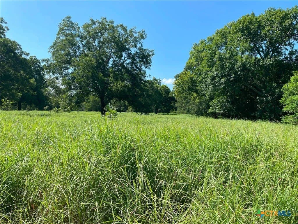 80.32 acres in Jackson County - photo 2
