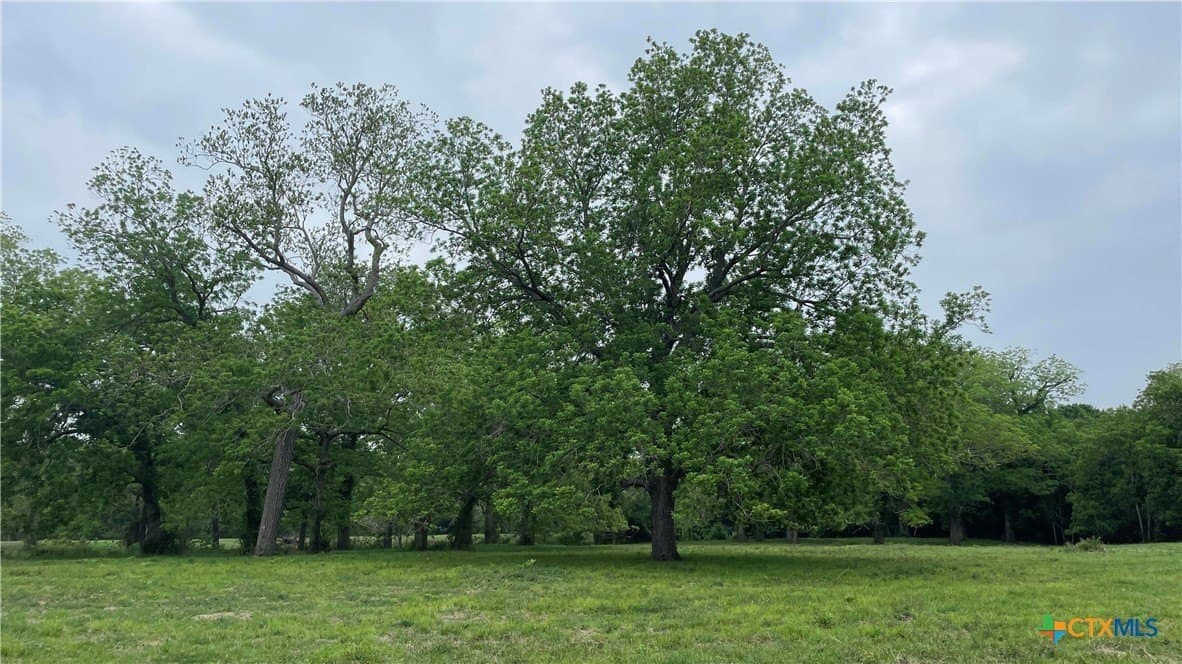 80.32 acres in Jackson County - photo 29