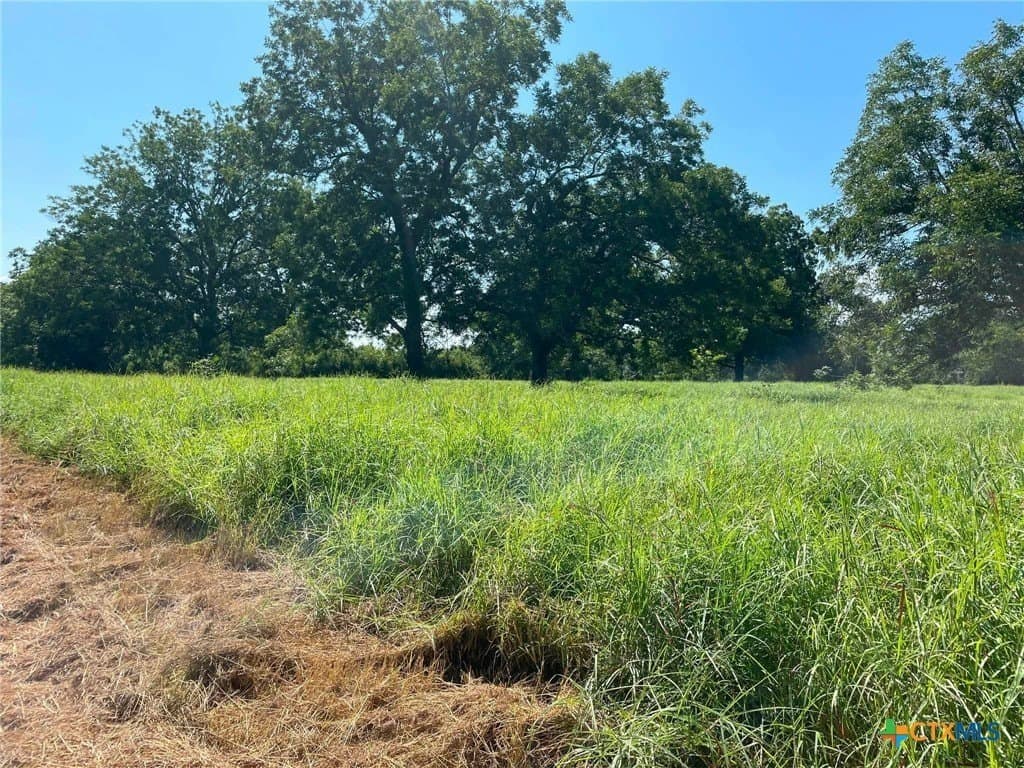 80.32 acres in Jackson County - photo 5
