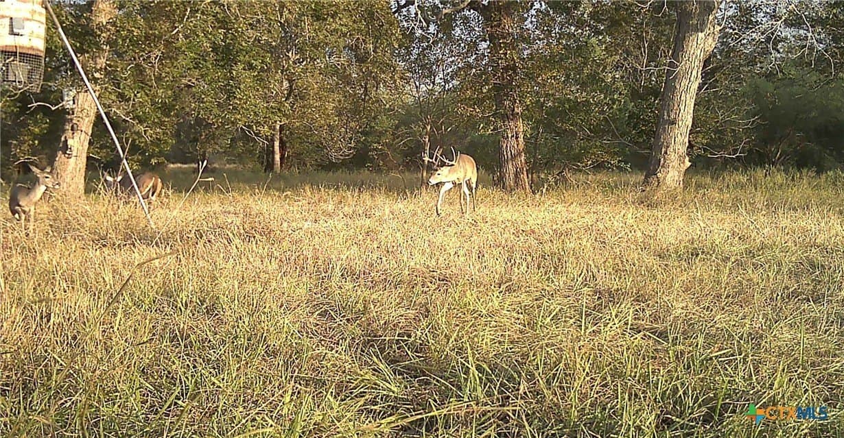 80.32 acres in Jackson County - photo 40