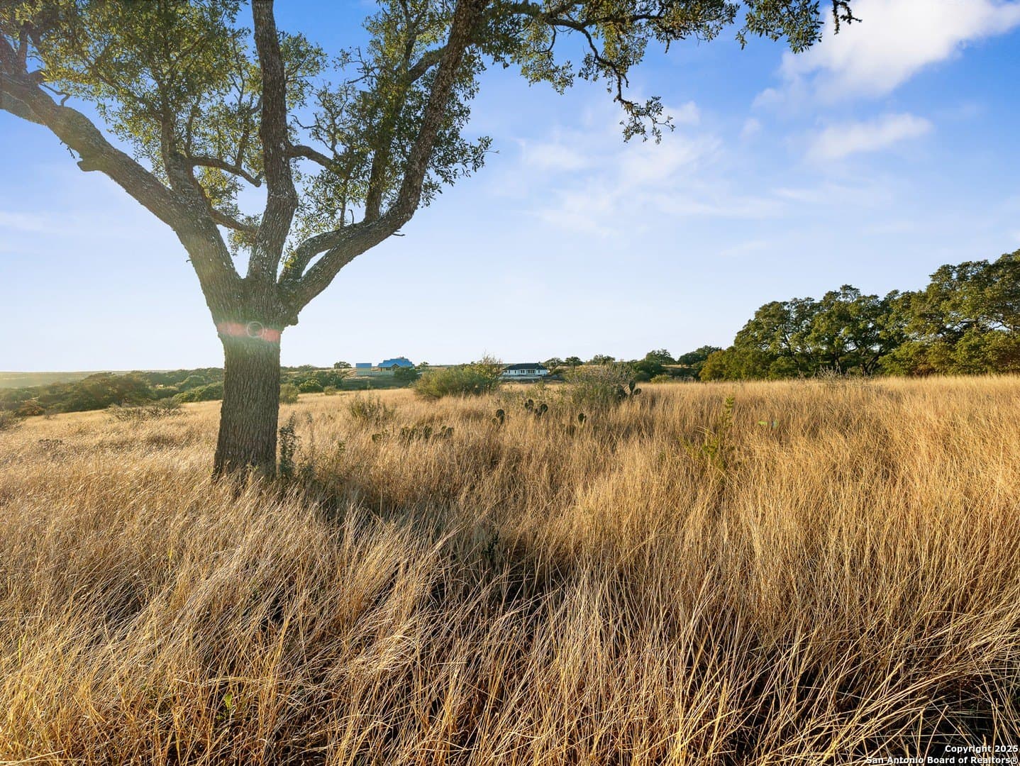 12.33 acres in Gillespie County - photo 21
