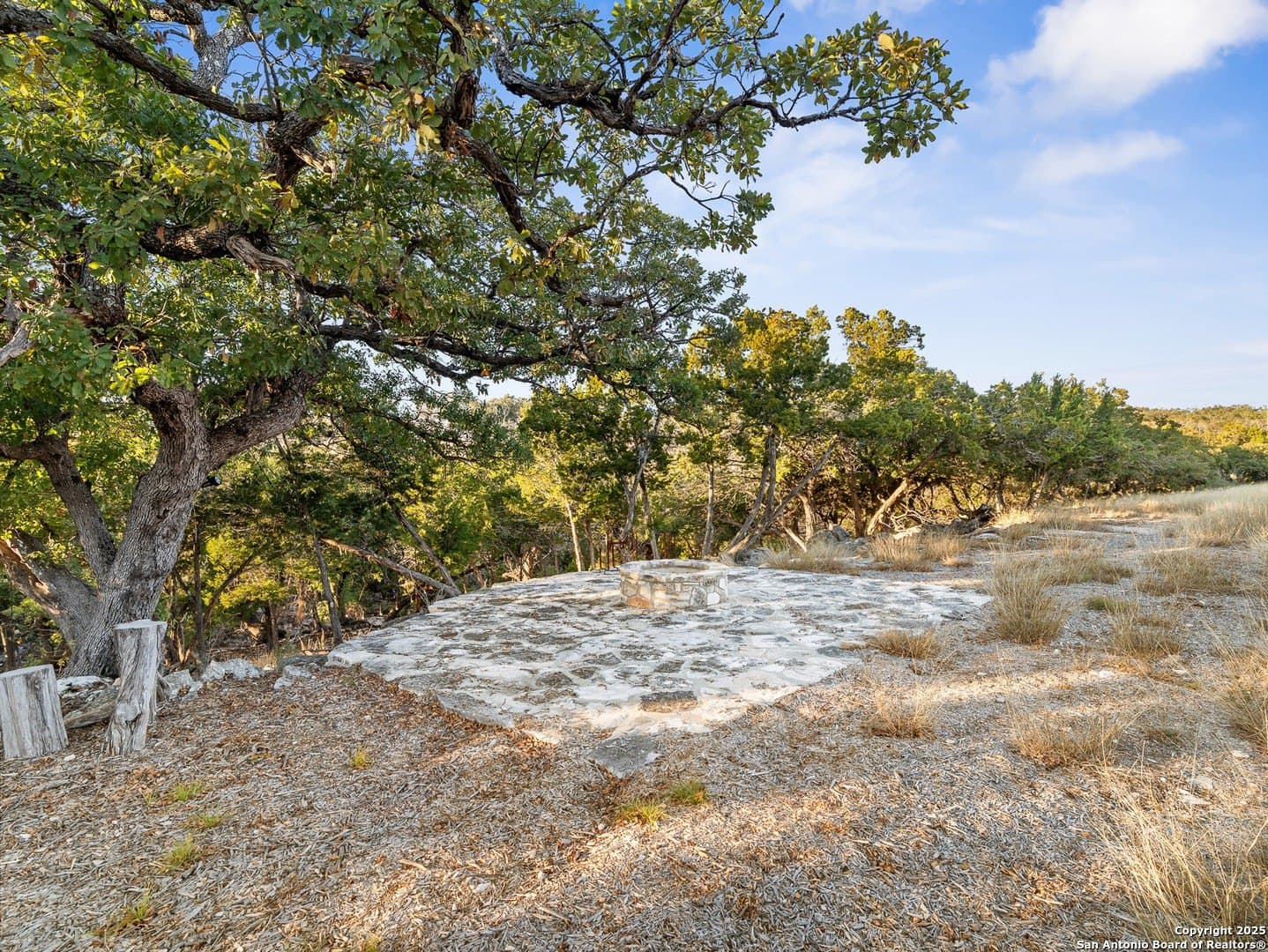 12.33 acres in Gillespie County - photo 18