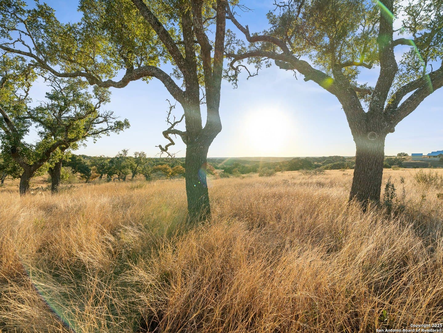 12.33 acres in Gillespie County - photo 23