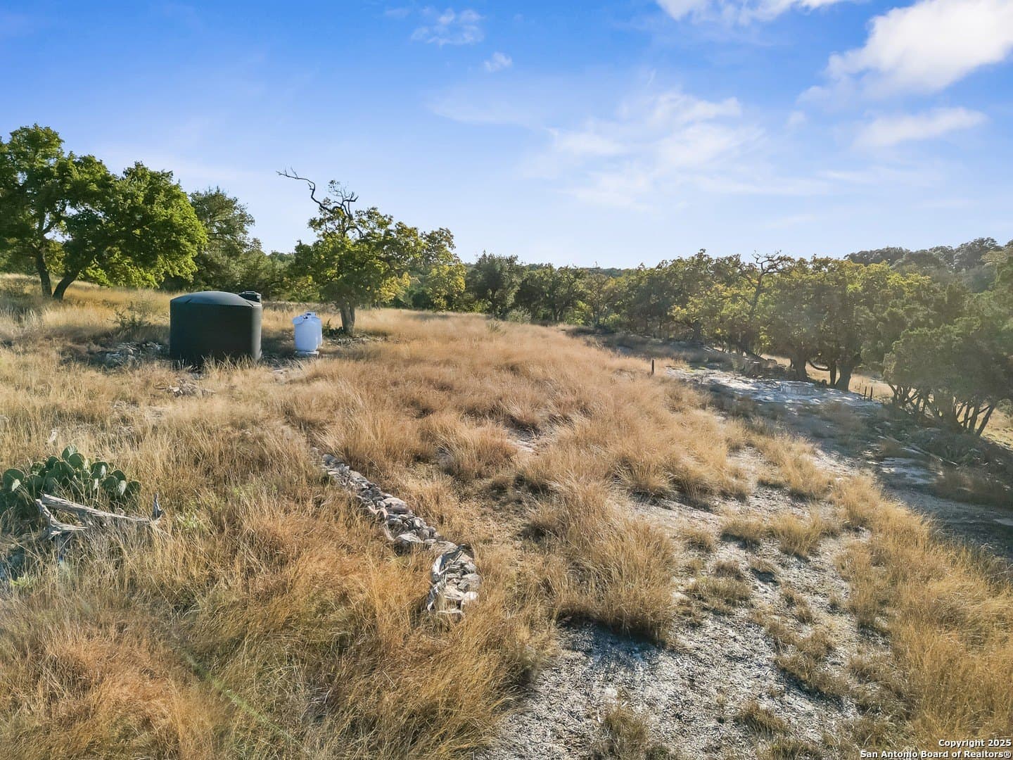 12.33 acres in Gillespie County - photo 9