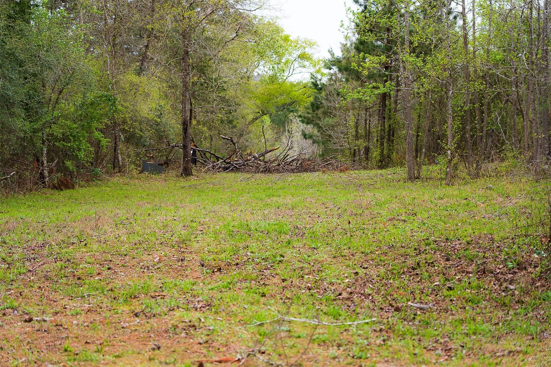 78.04 acres in Nacogdoches County - photo 23