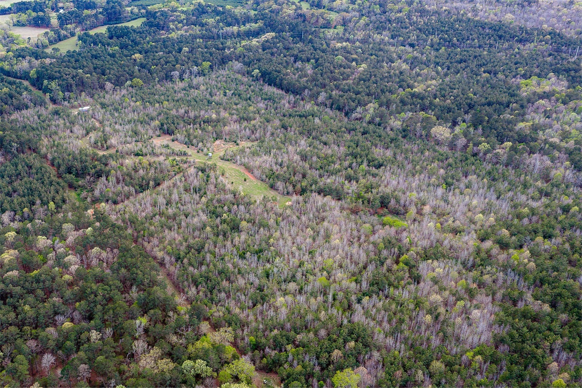 78.04 acres in Nacogdoches County - photo 39