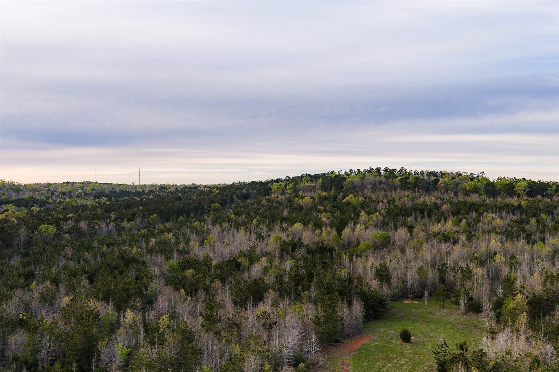 78.04 acres in Nacogdoches County - photo 5
