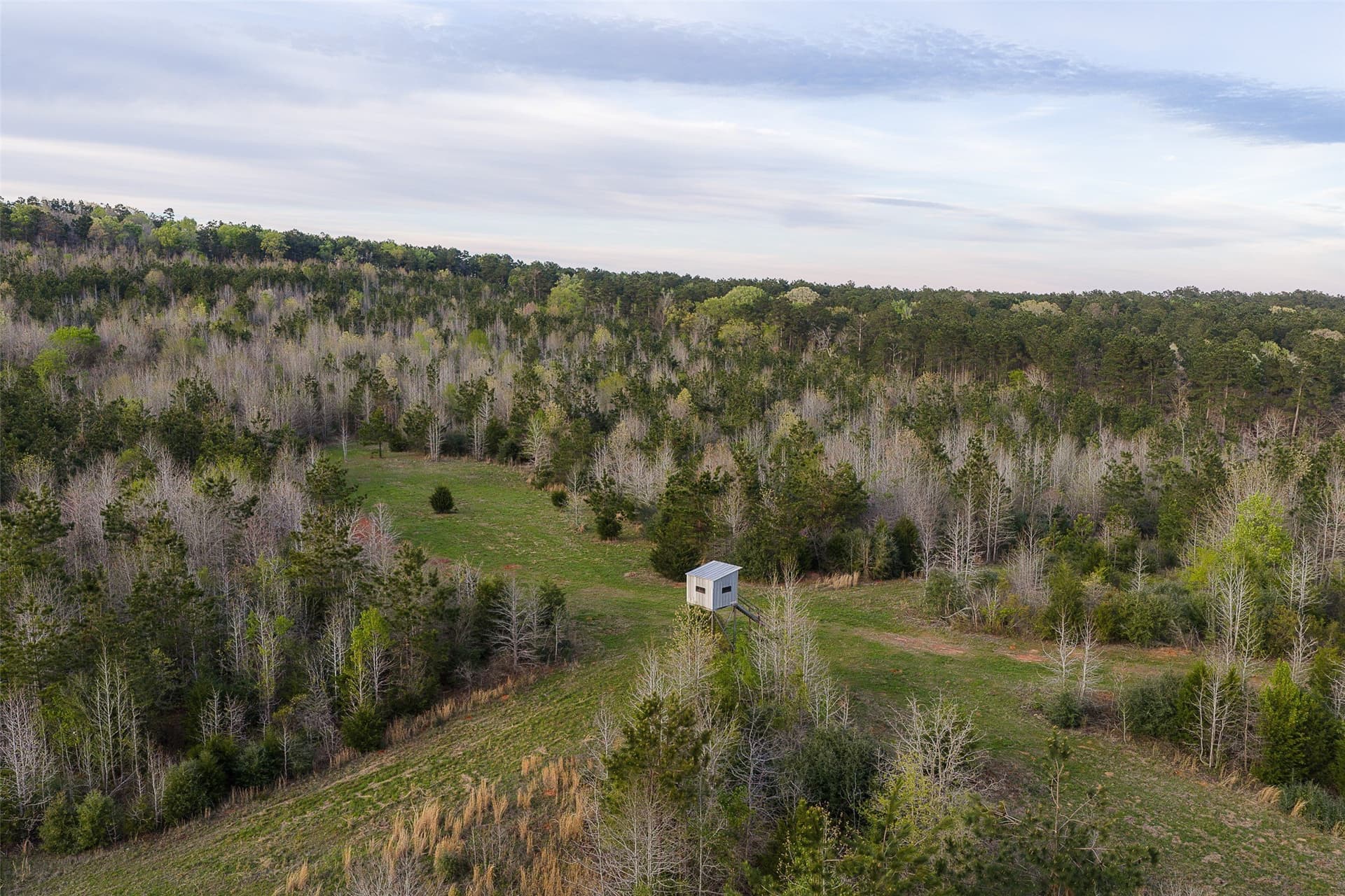 78.04 acres in Nacogdoches County