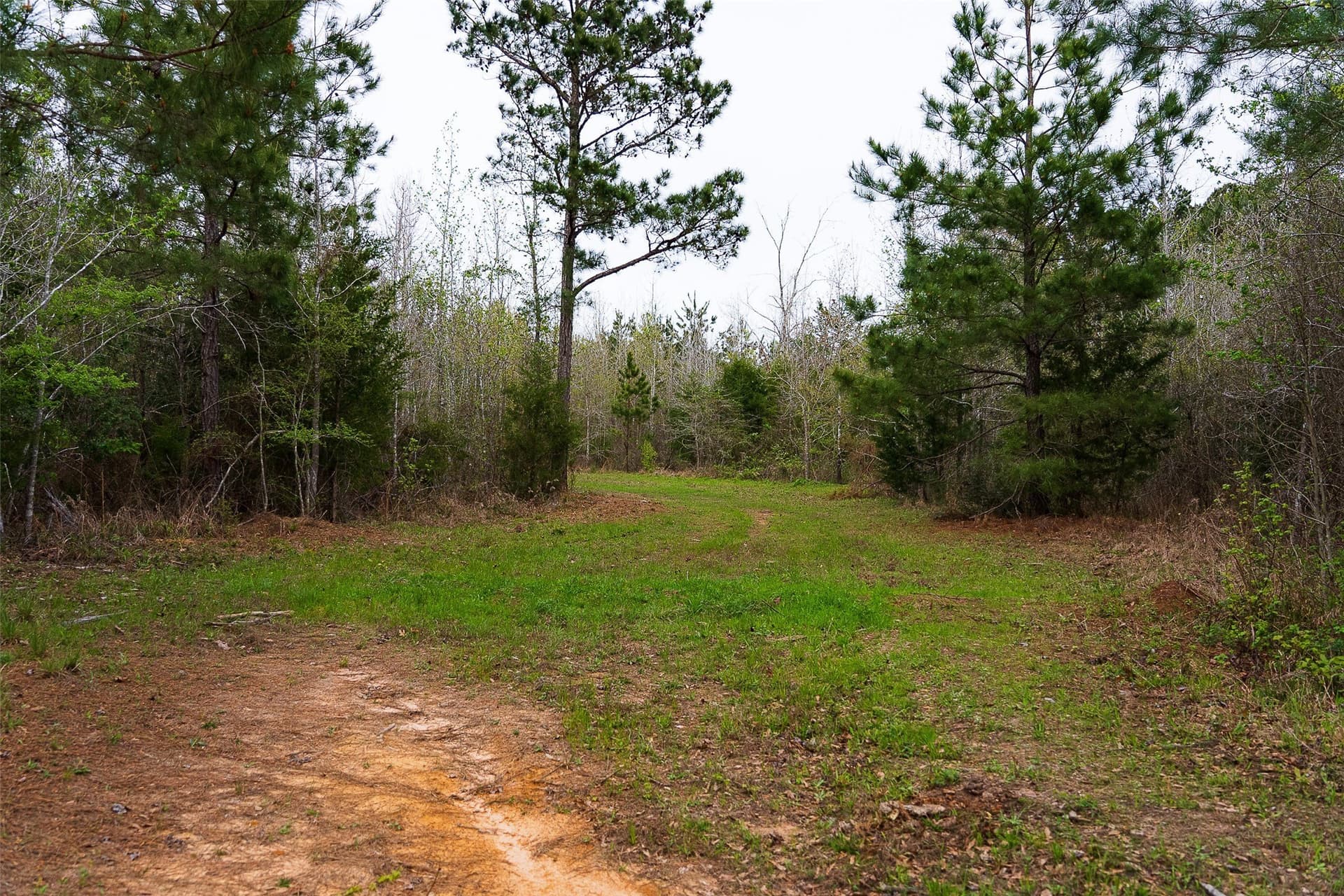 78.04 acres in Nacogdoches County - photo 33