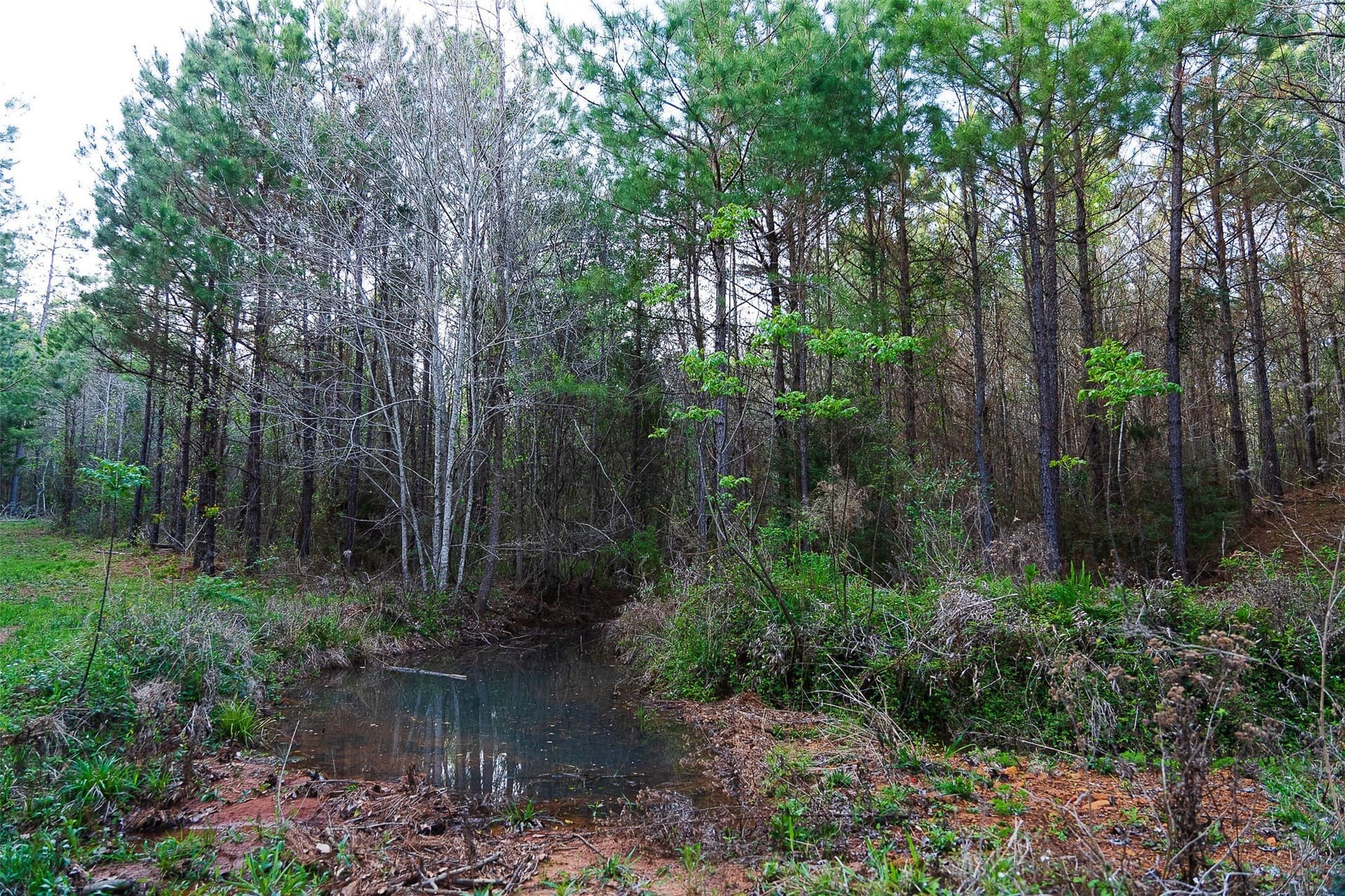 78.04 acres in Nacogdoches County - photo 21