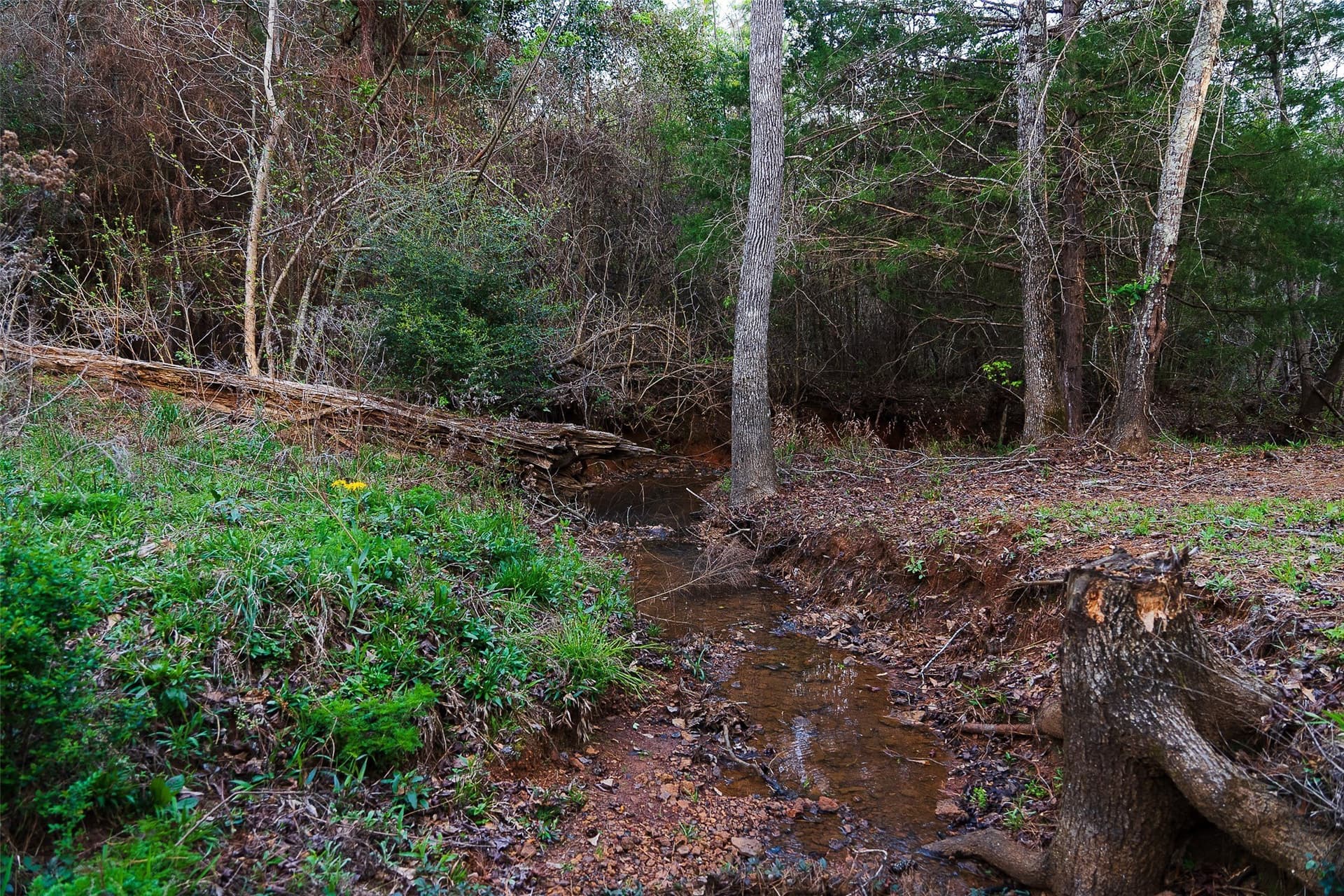 78.04 acres in Nacogdoches County - photo 20