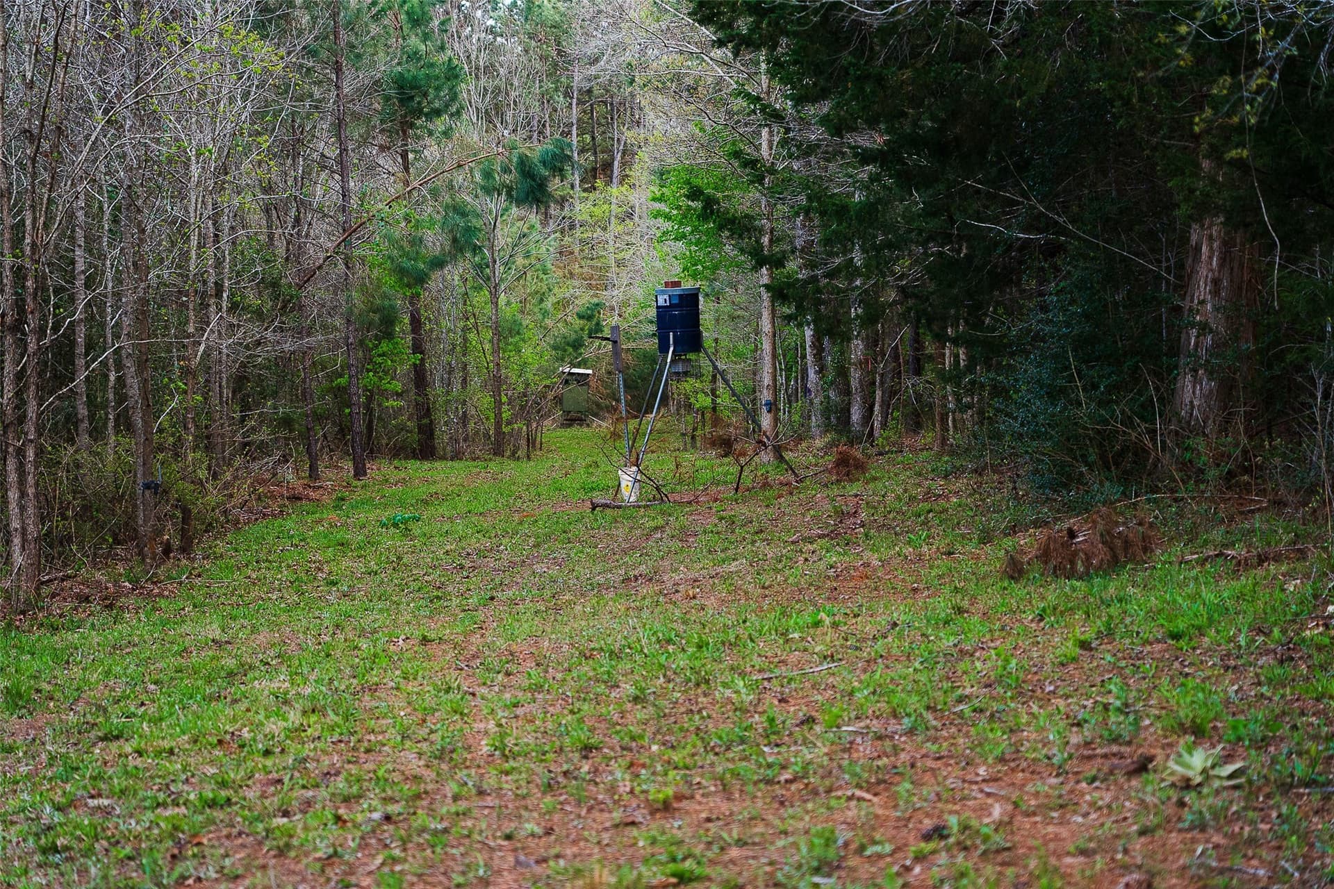 78.04 acres in Nacogdoches County - photo 29