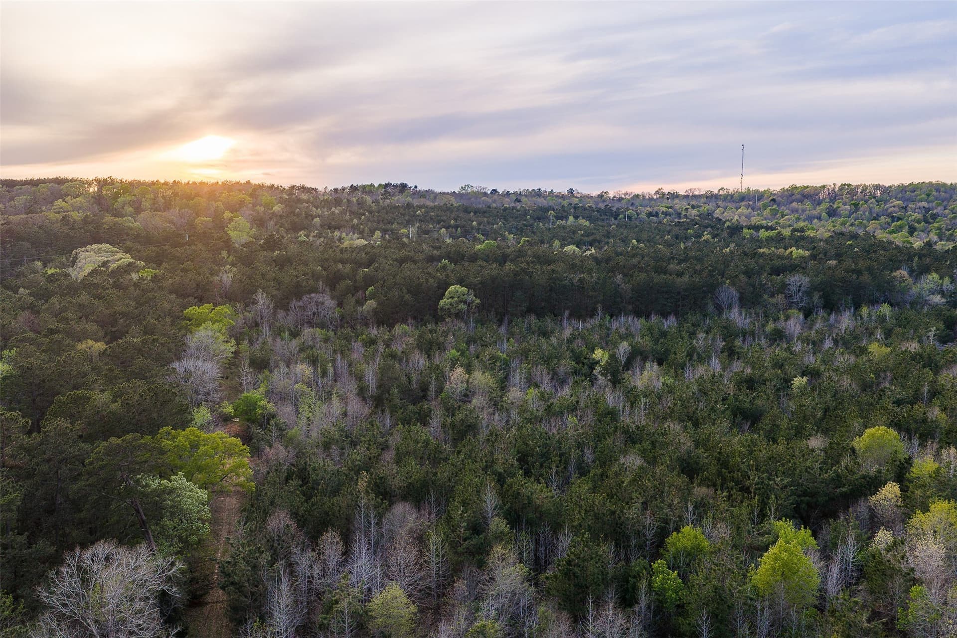 78.04 acres in Nacogdoches County - photo 30