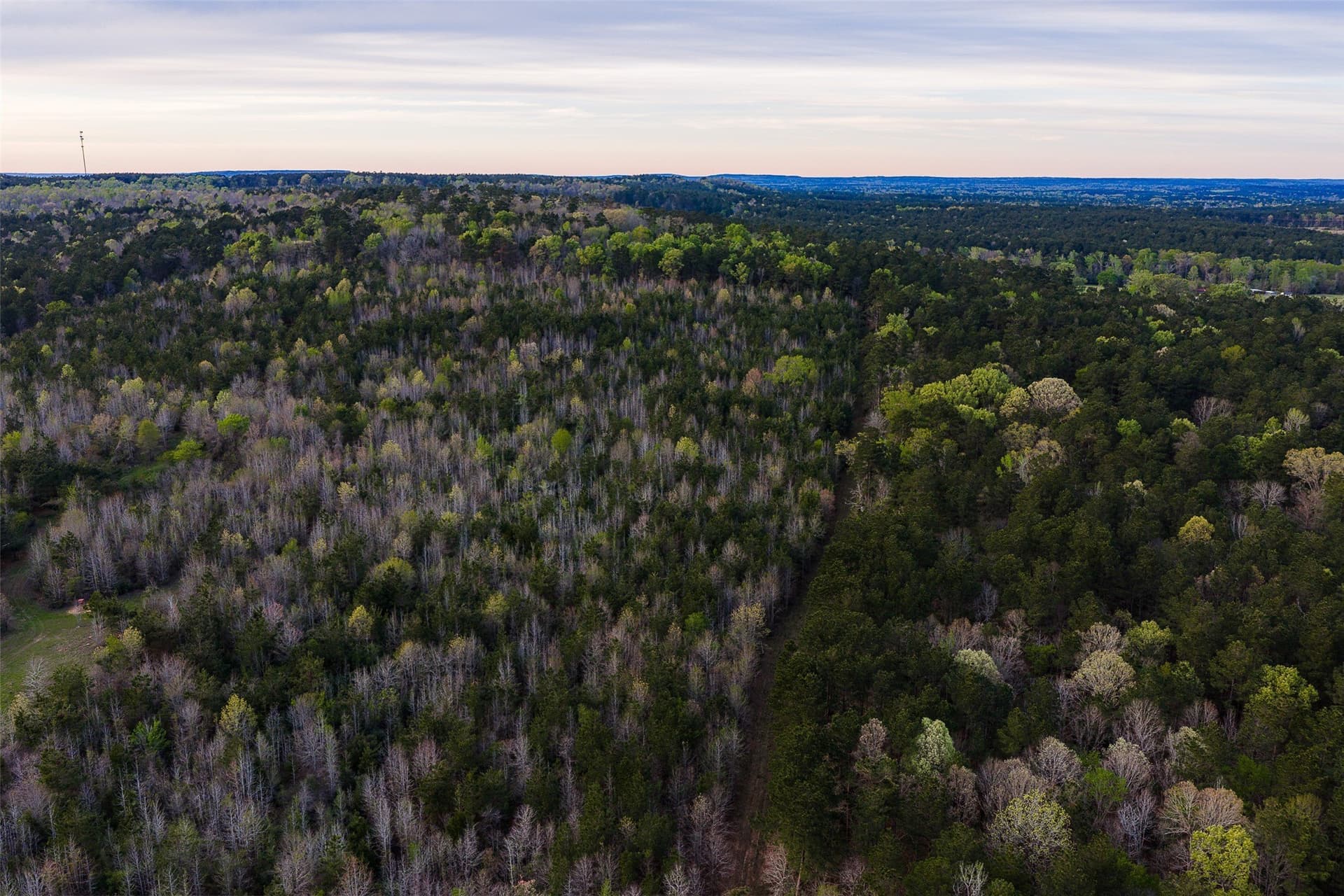 78.04 acres in Nacogdoches County - photo 37