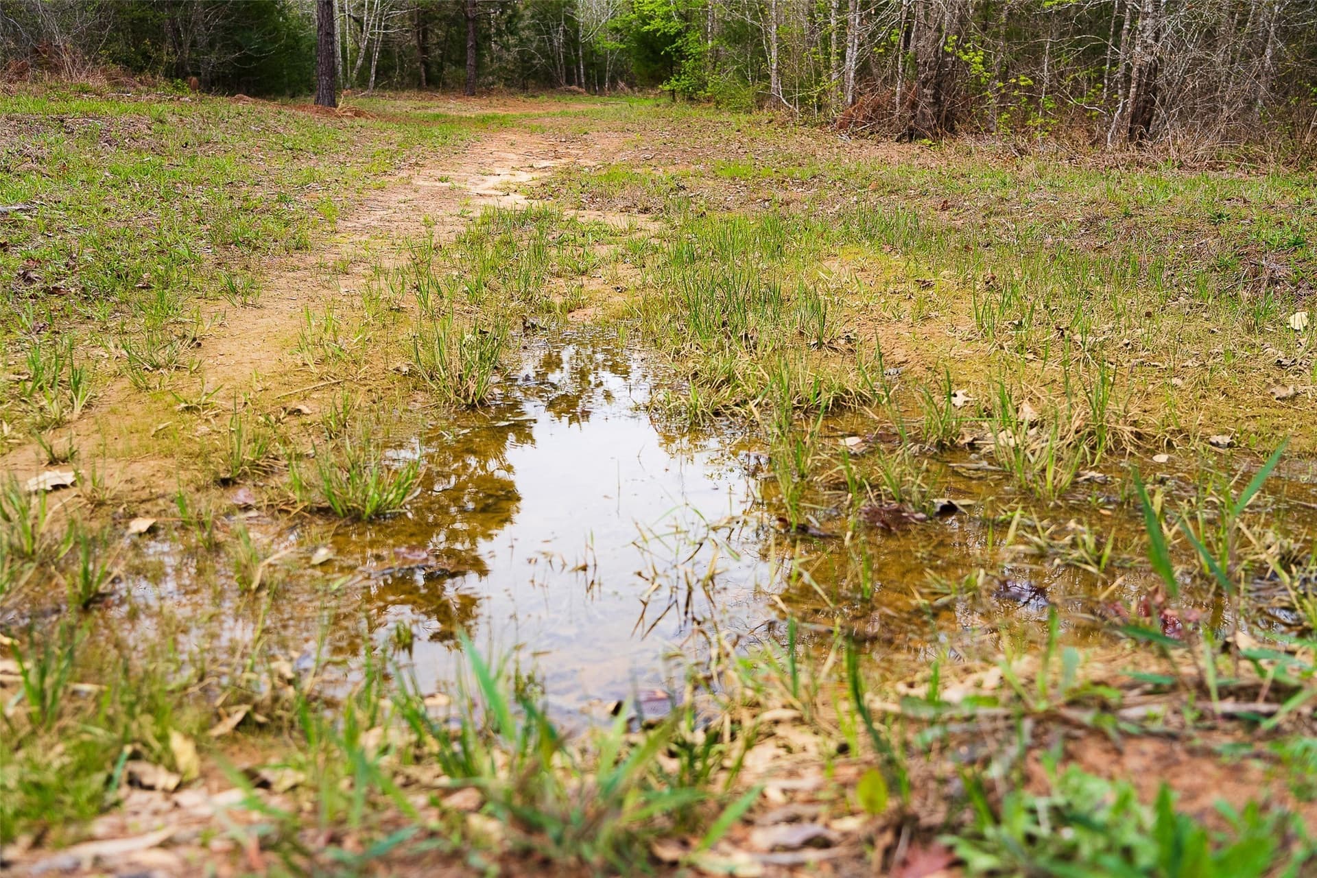 78.04 acres in Nacogdoches County - photo 35