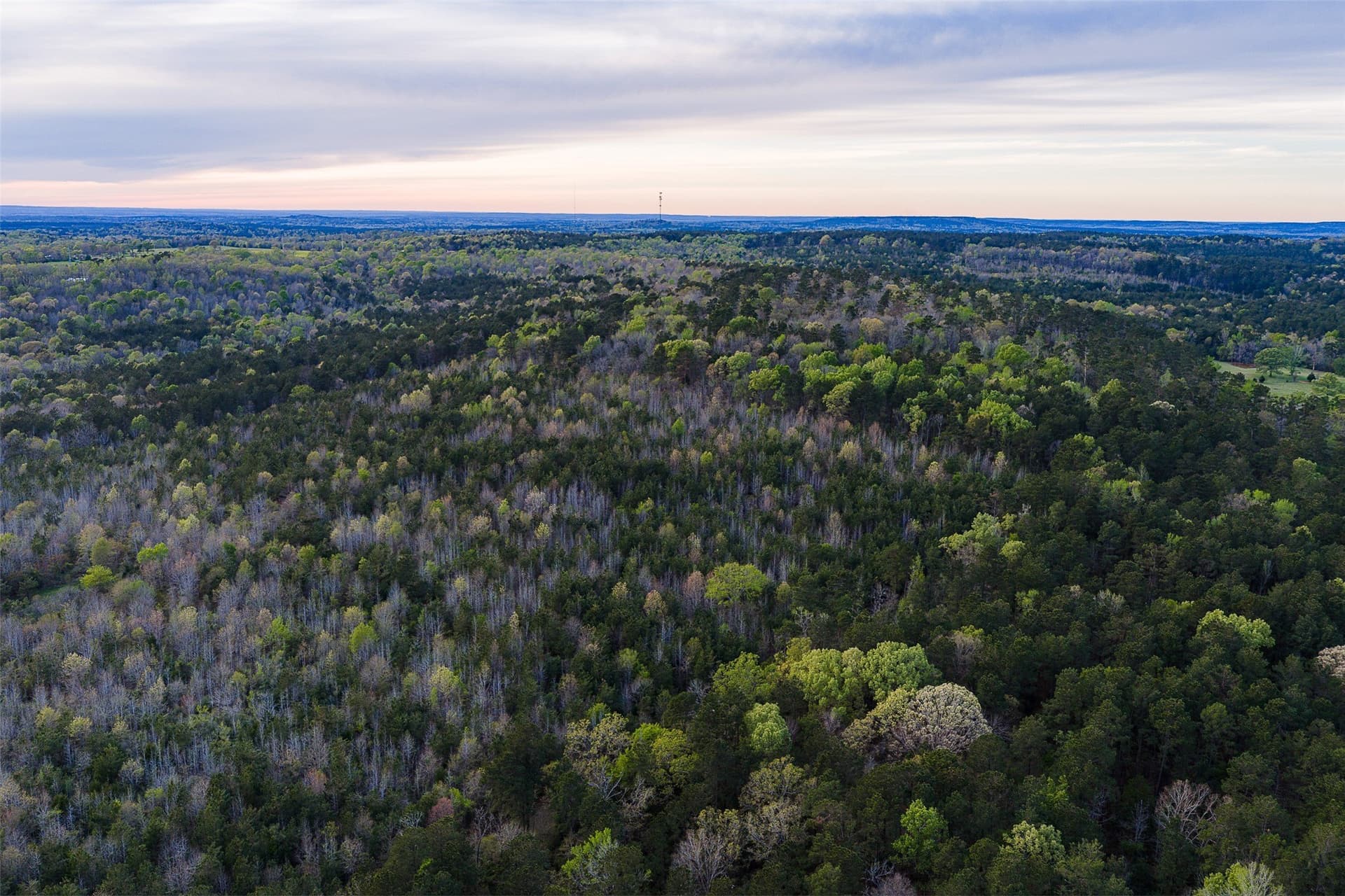 78.04 acres in Nacogdoches County - photo 4