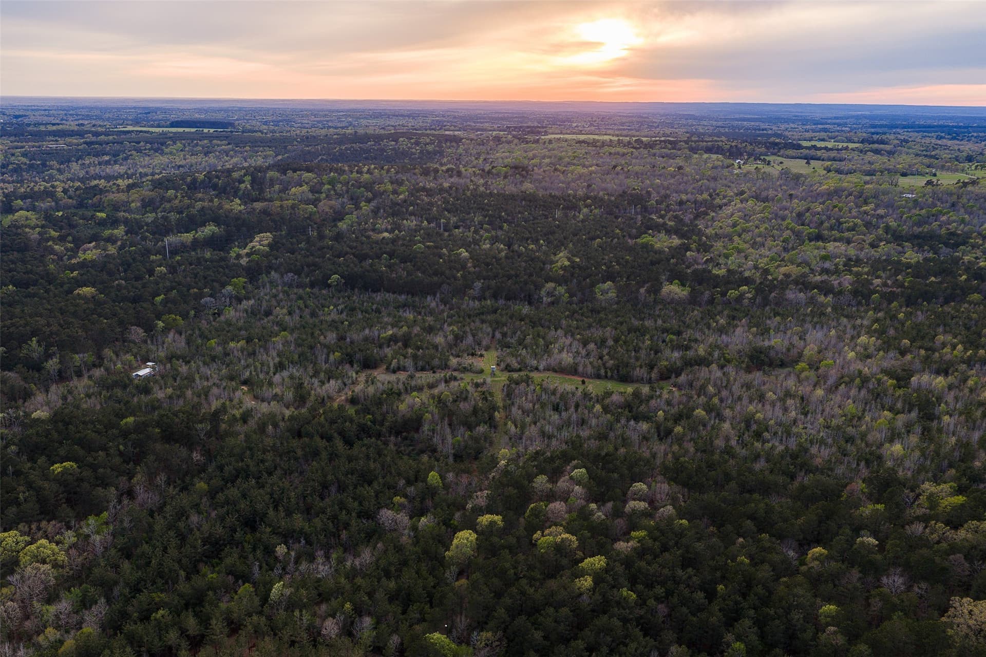 78.04 acres in Nacogdoches County - photo 3