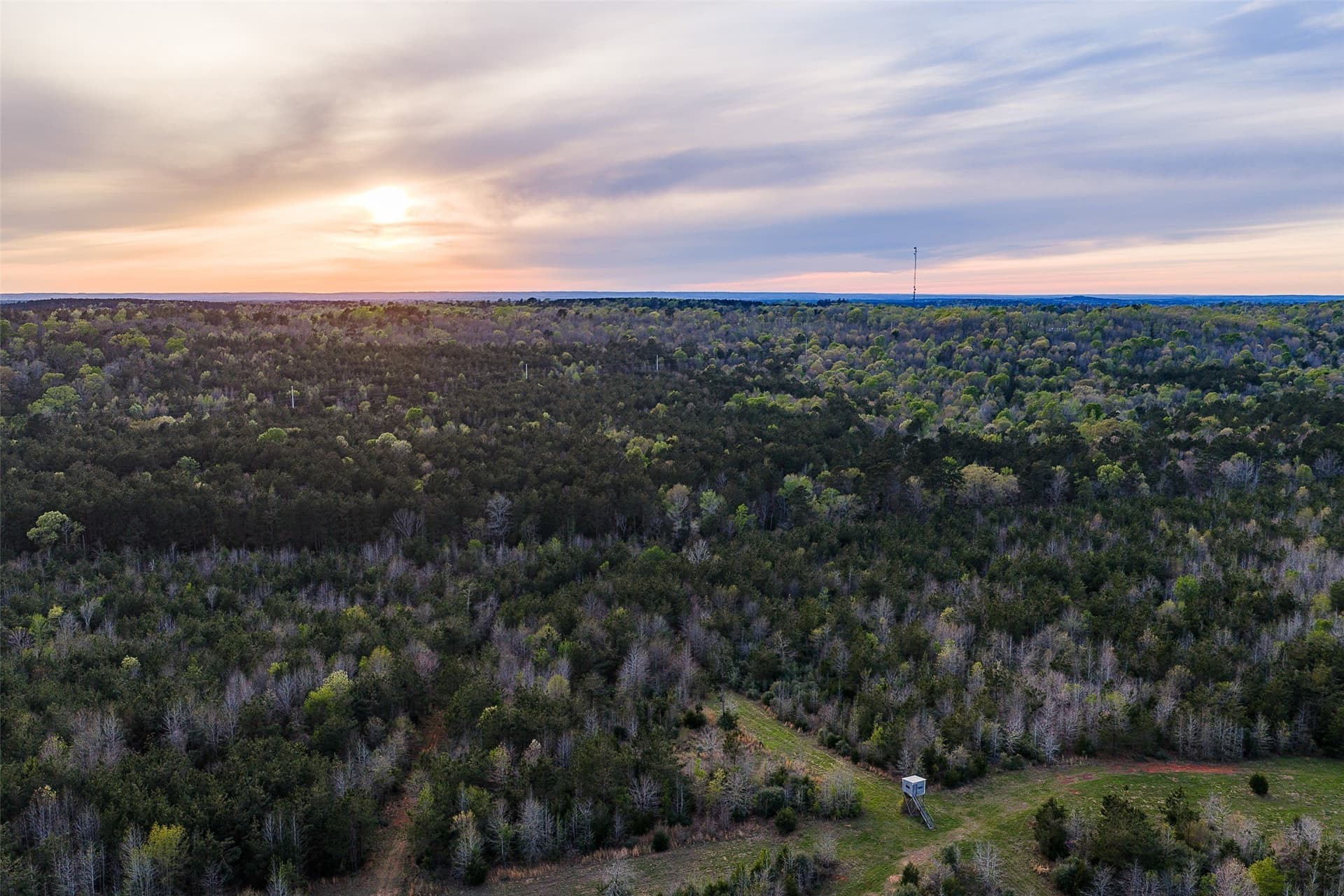 78.04 acres in Nacogdoches County - photo 31