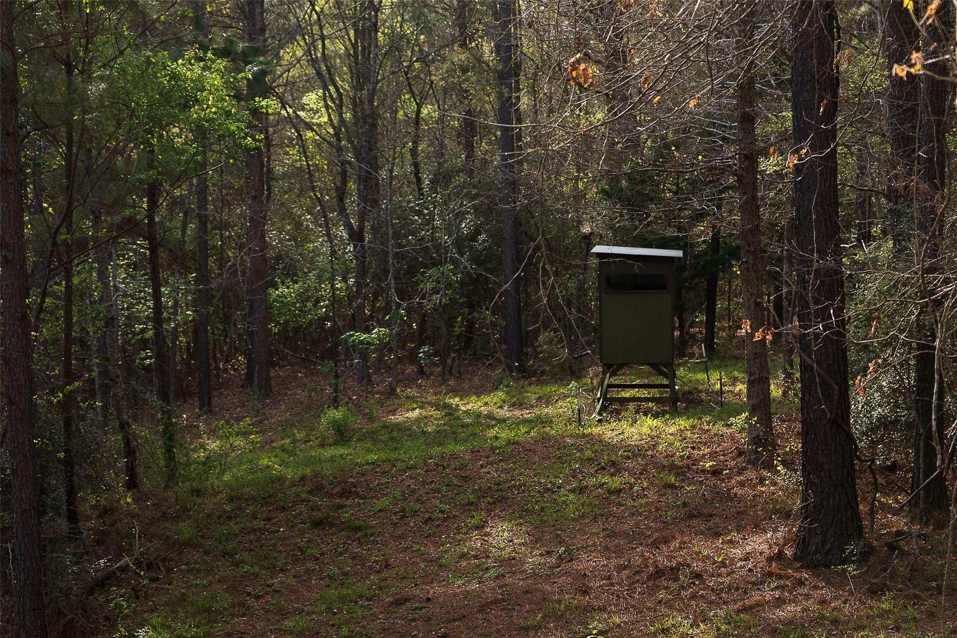 78.04 acres in Nacogdoches County - photo 36