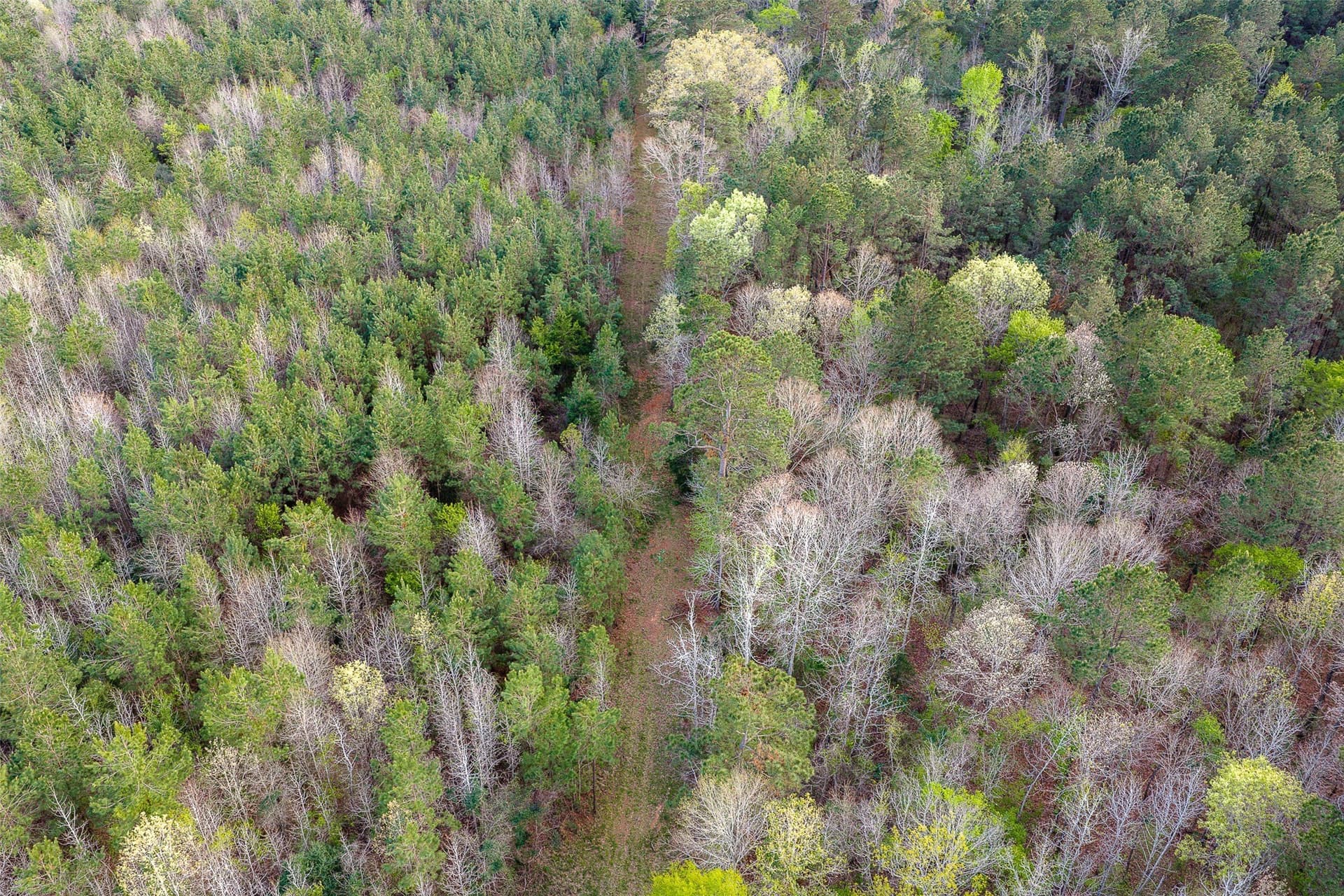 78.04 acres in Nacogdoches County - photo 22
