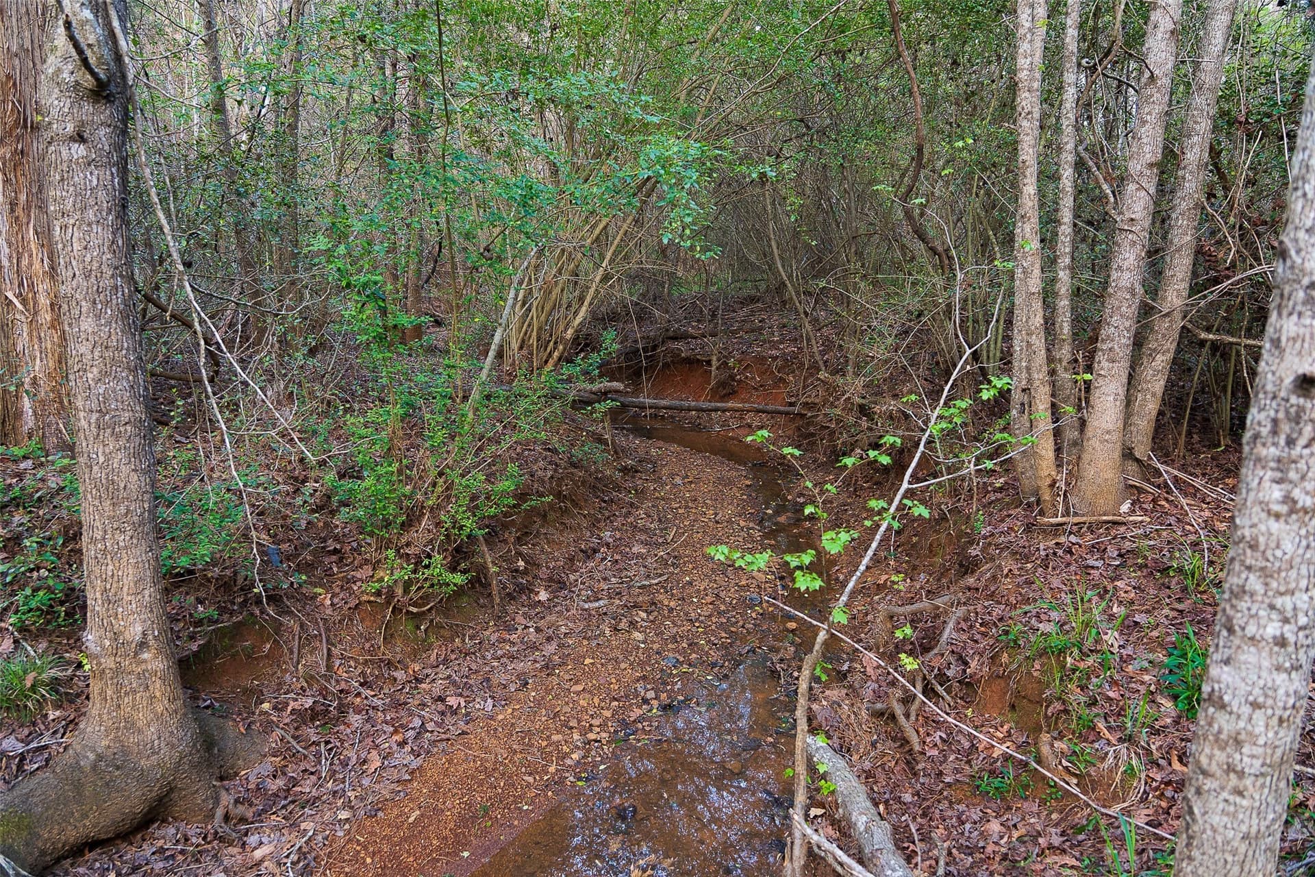 78.04 acres in Nacogdoches County - photo 15