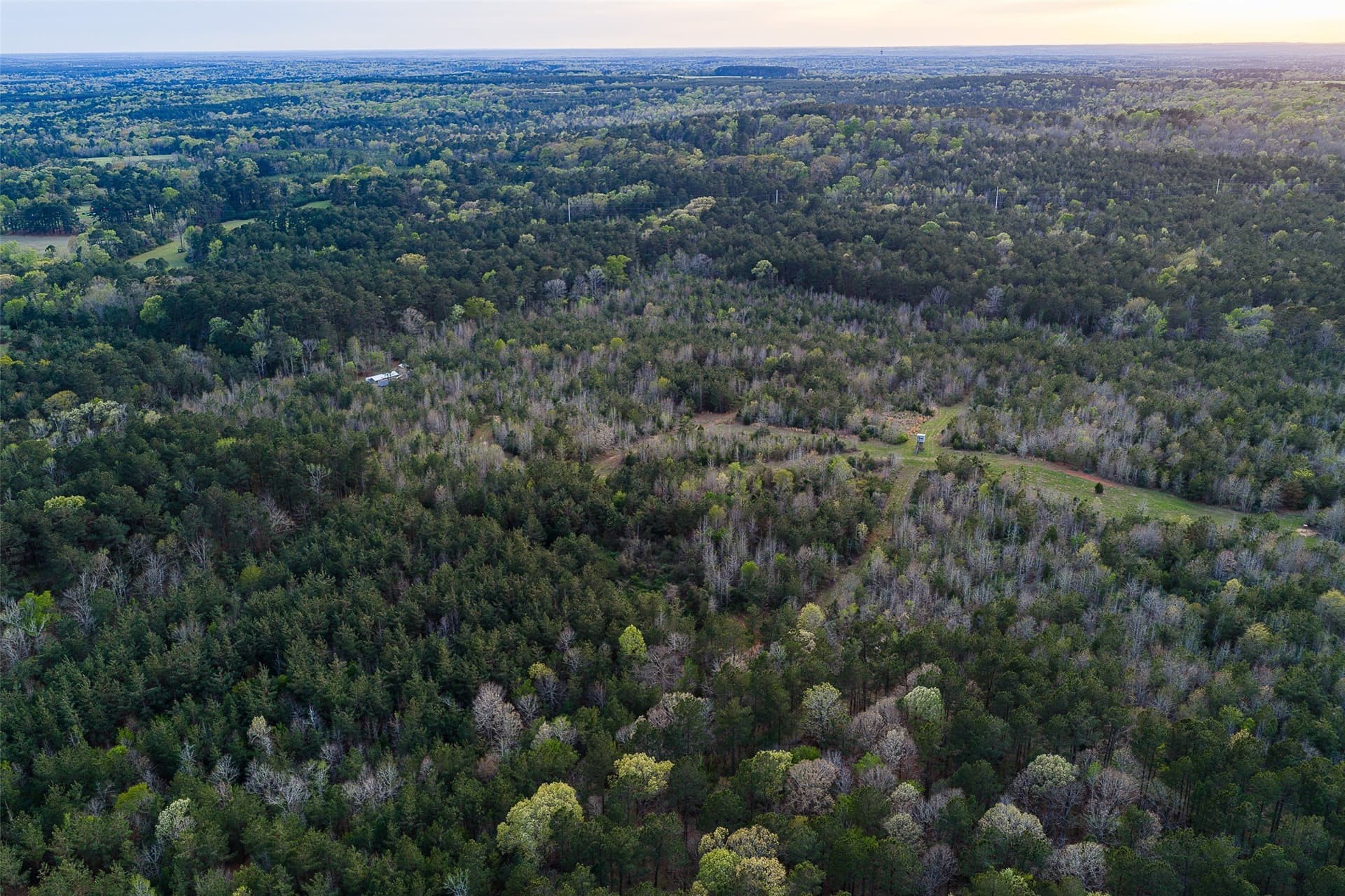 78.04 acres in Nacogdoches County - photo 28