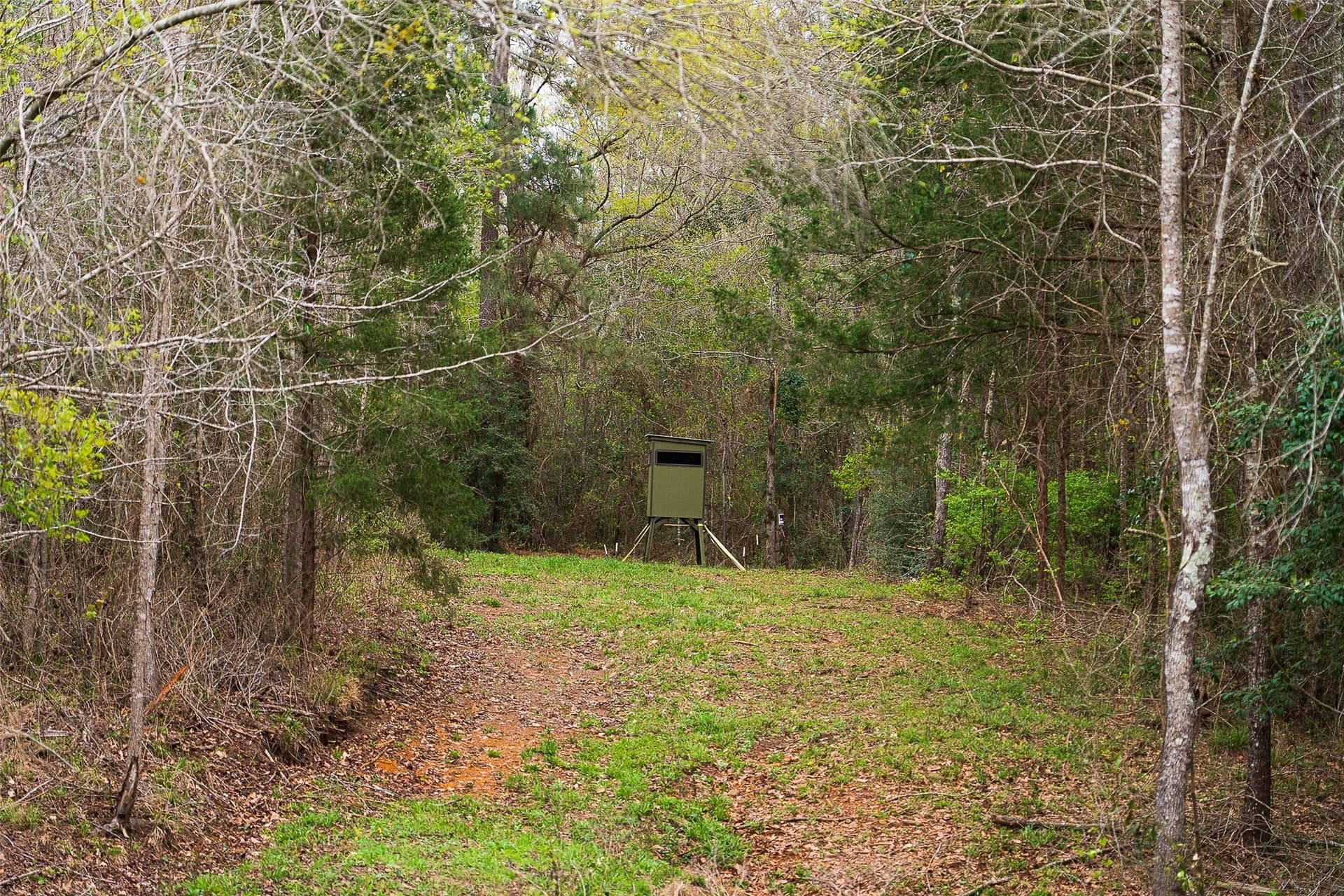 78.04 acres in Nacogdoches County - photo 24