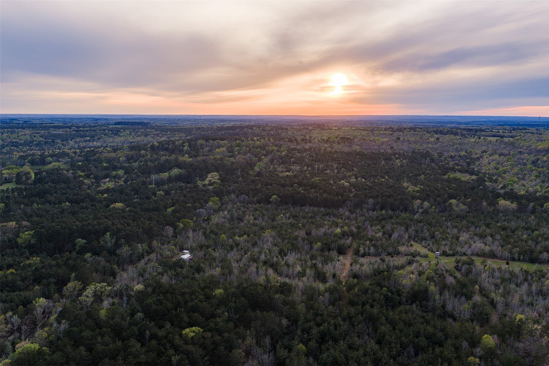 78.04 acres in Nacogdoches County - photo 7
