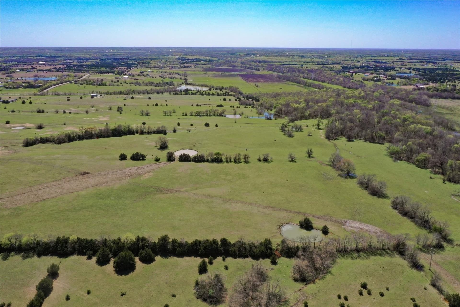 36.5 acres in Collin County - photo 3