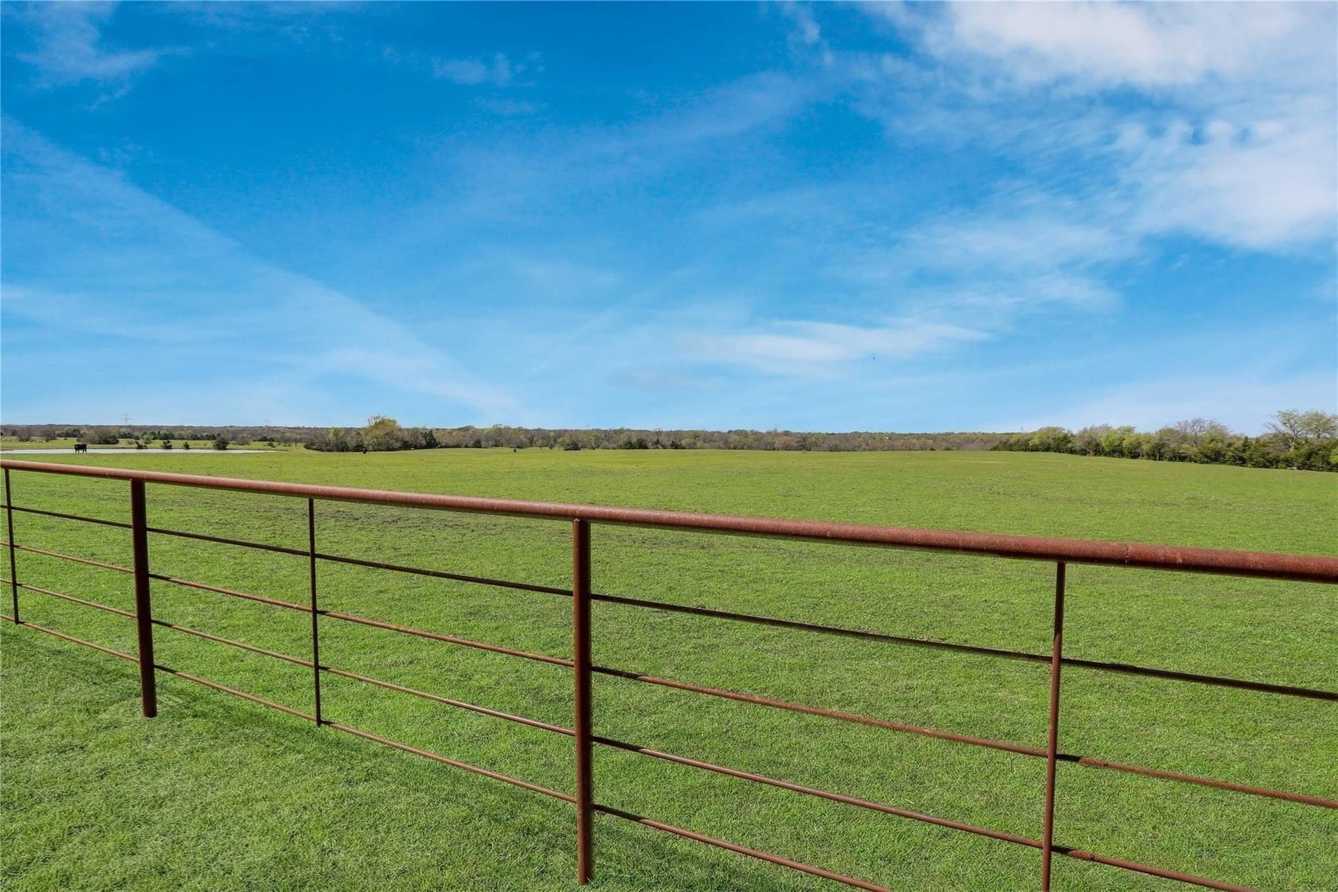 36.5 acres in Collin County - photo 8
