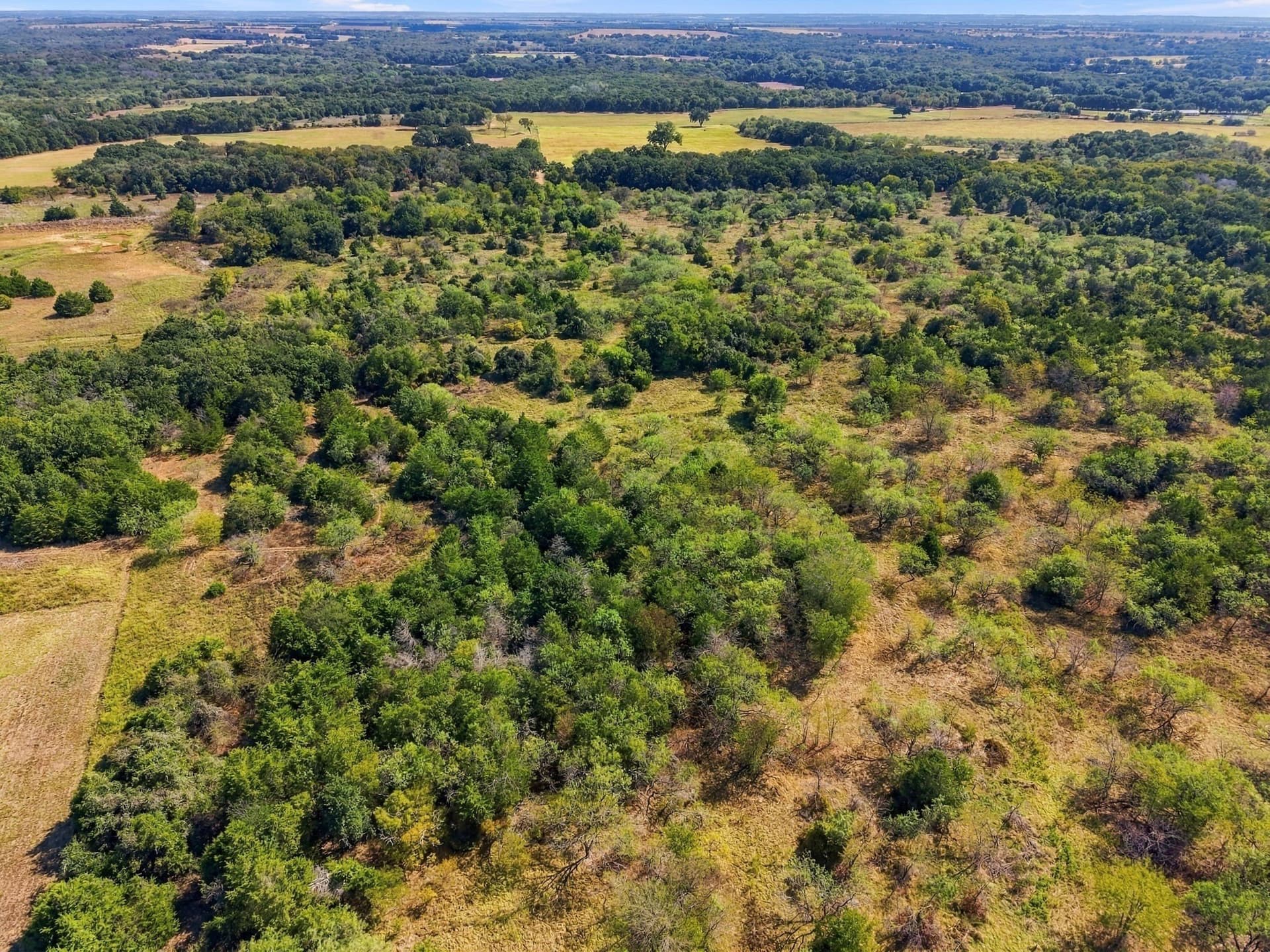 20 acres in Hill County - photo 8