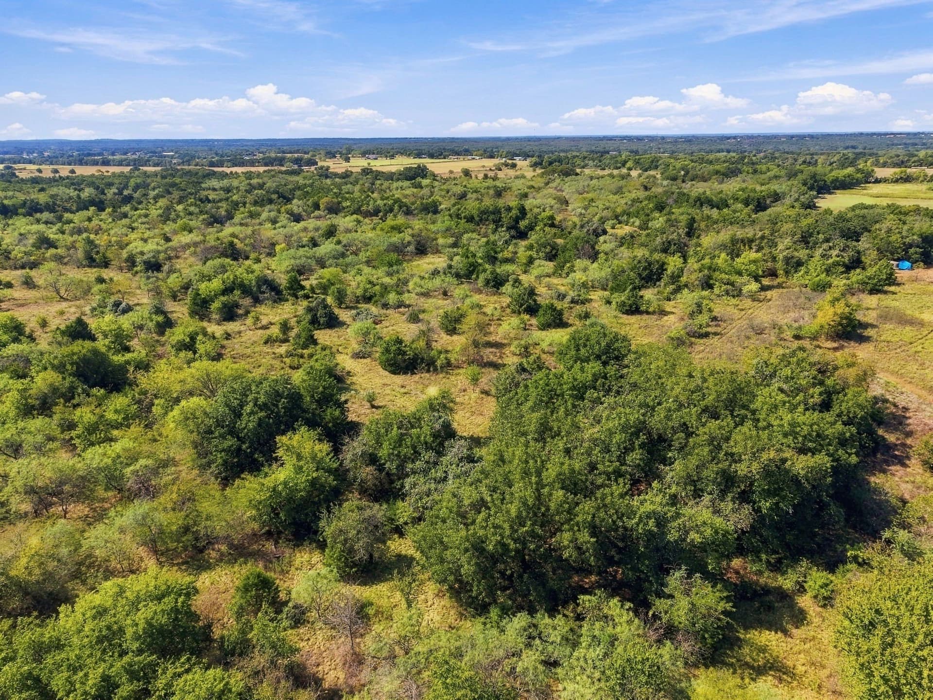 20 acres in Hill County - photo 13