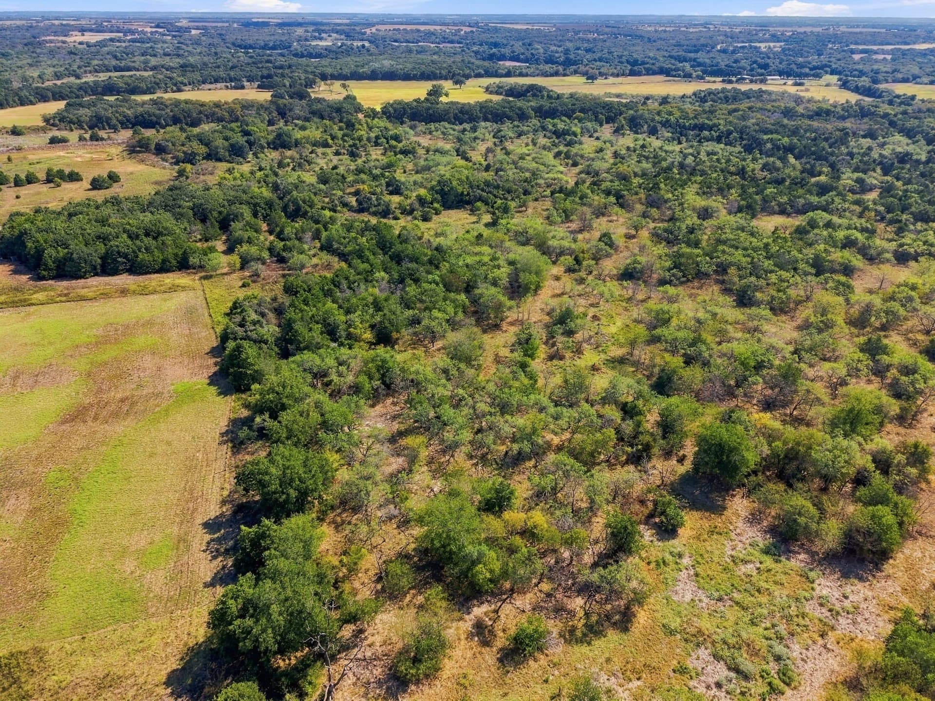 20 acres in Hill County - photo 7
